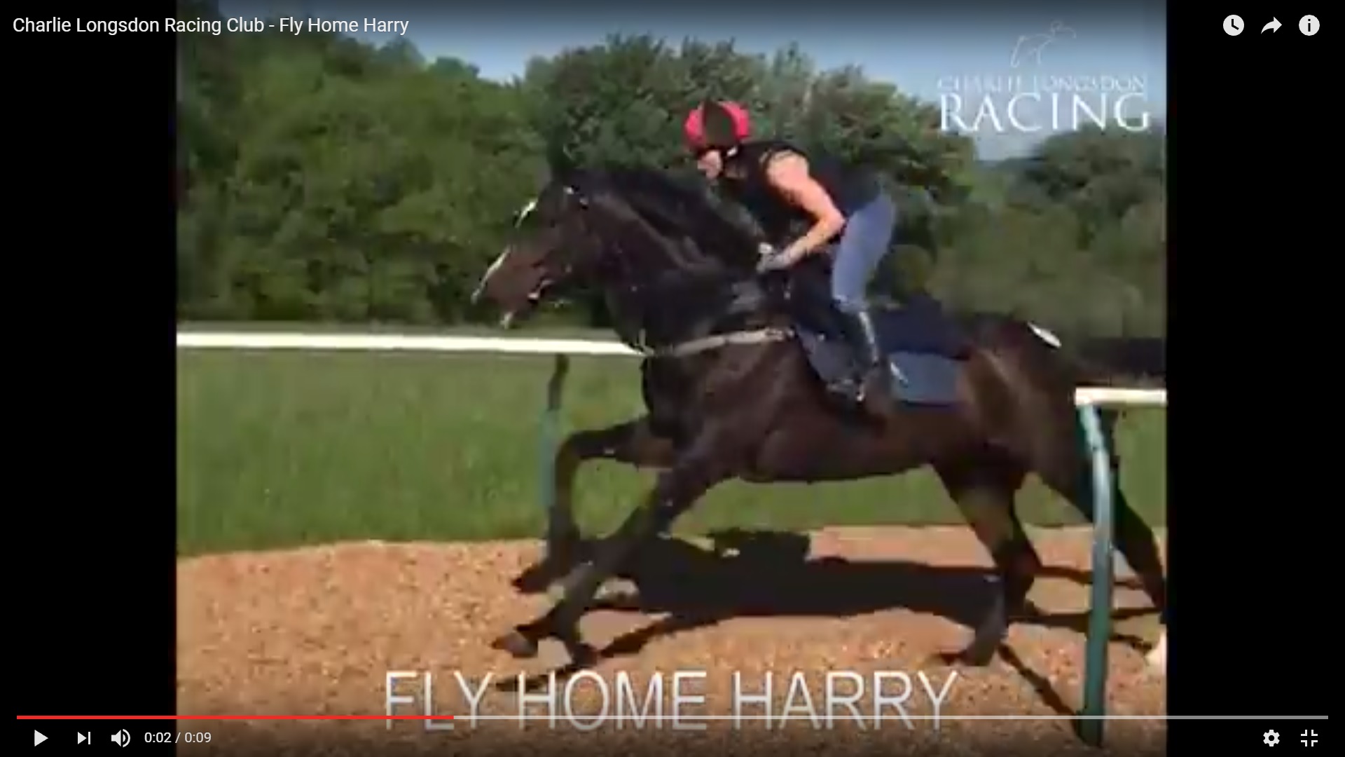 Fly Home Harry - The Charlie Longsdon Racing Club