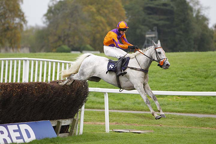 Definitly Grey winning at Chepstow under Paul O'Brien Photo by Steve Davies