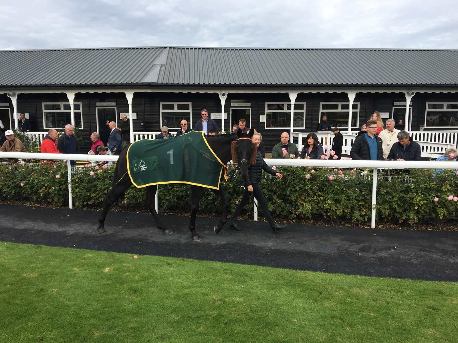 Azure Fly in the paddock at Uttoxeter in Sunday