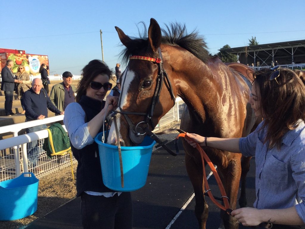 Old Jeroboam has a well deserved drink after winning at Wetherby