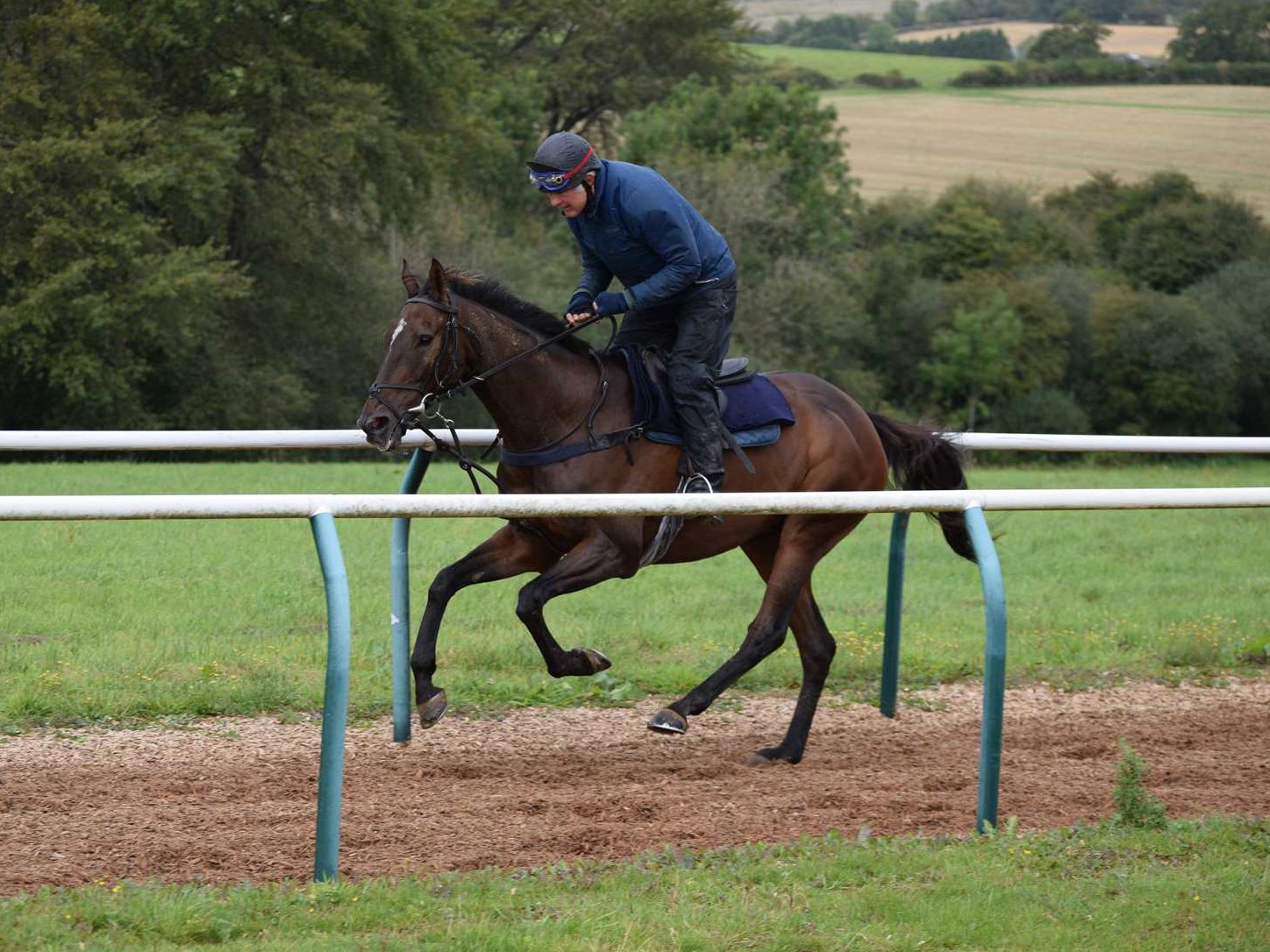 Loose Chips retaining his enthusiasm on the gallops!