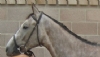 TOPAZE COLLONGES
