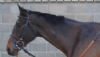 TARBECK