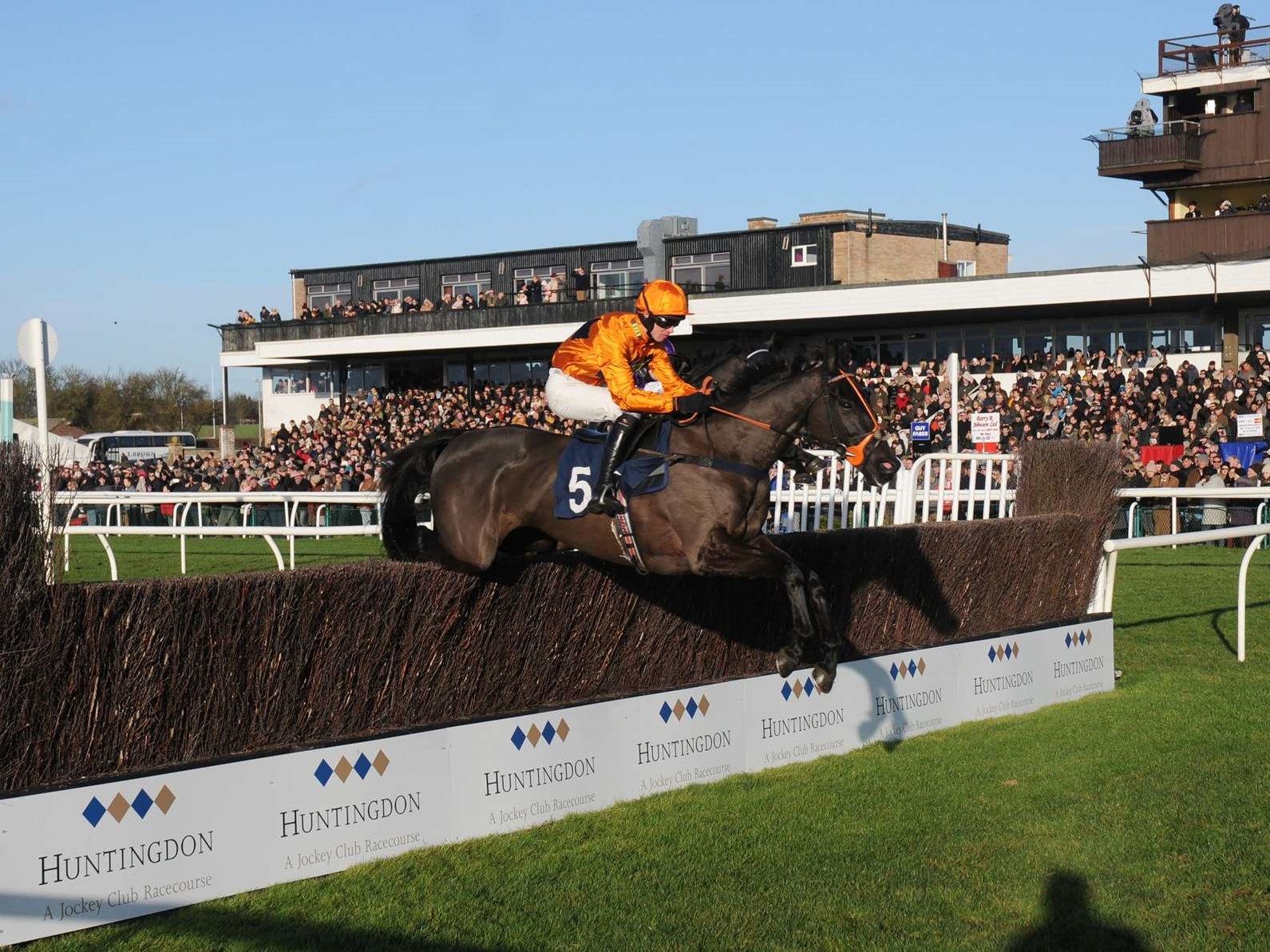 Horses in Training Charlie Longsdon Racing, Oxfordshire