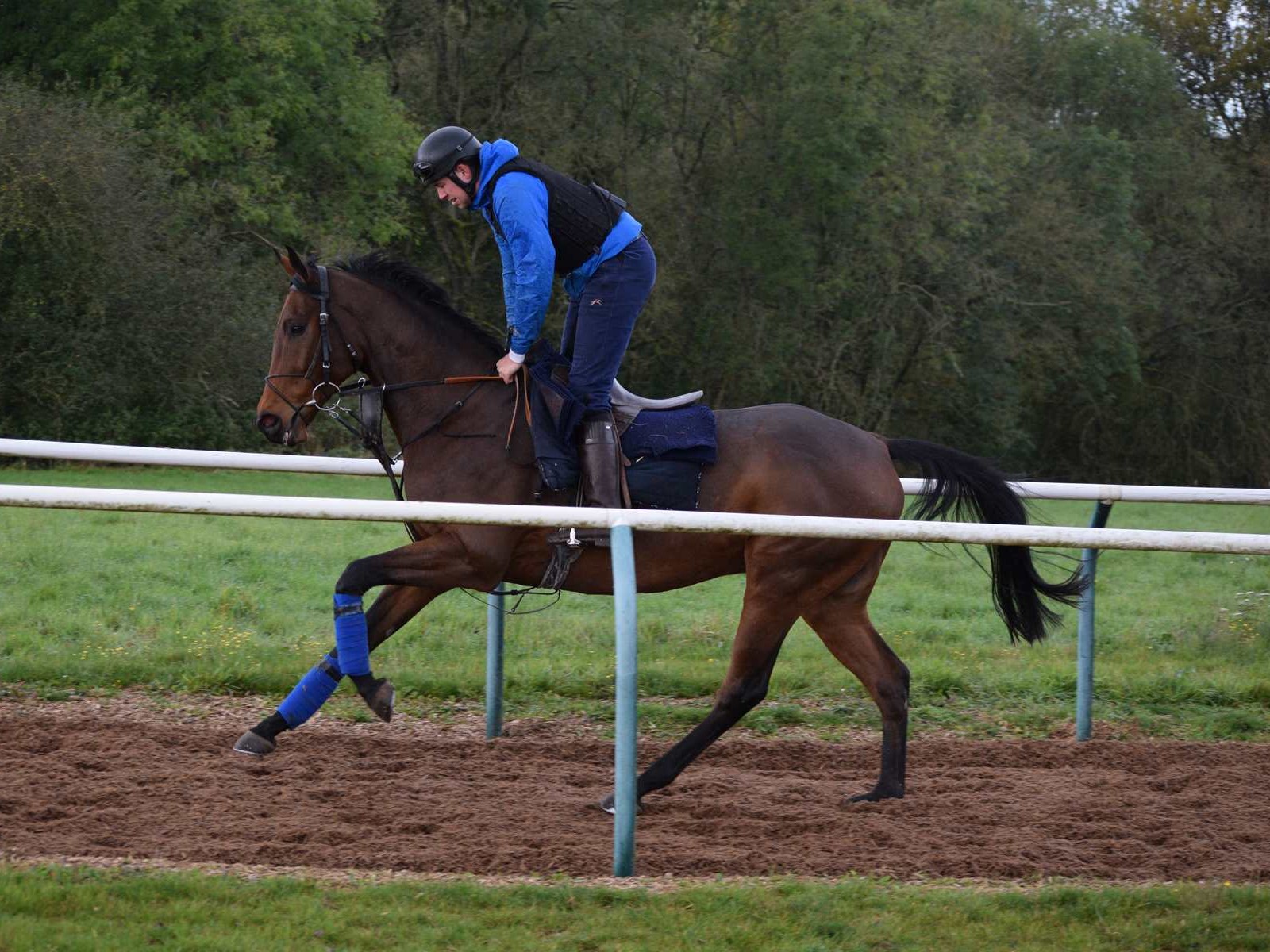 Horses in Training Charlie Longsdon Racing, Oxfordshire
