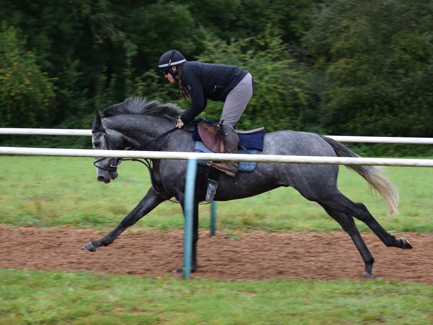 ECLAIR ON LINE 2014 Gr G