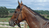 KING AR AGHAIDH