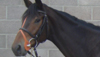 TATISPOUT (fr)