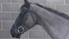 GRANDADS HORSE