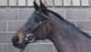 QHILIMAR
