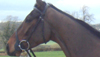 ROSSMORE LAD