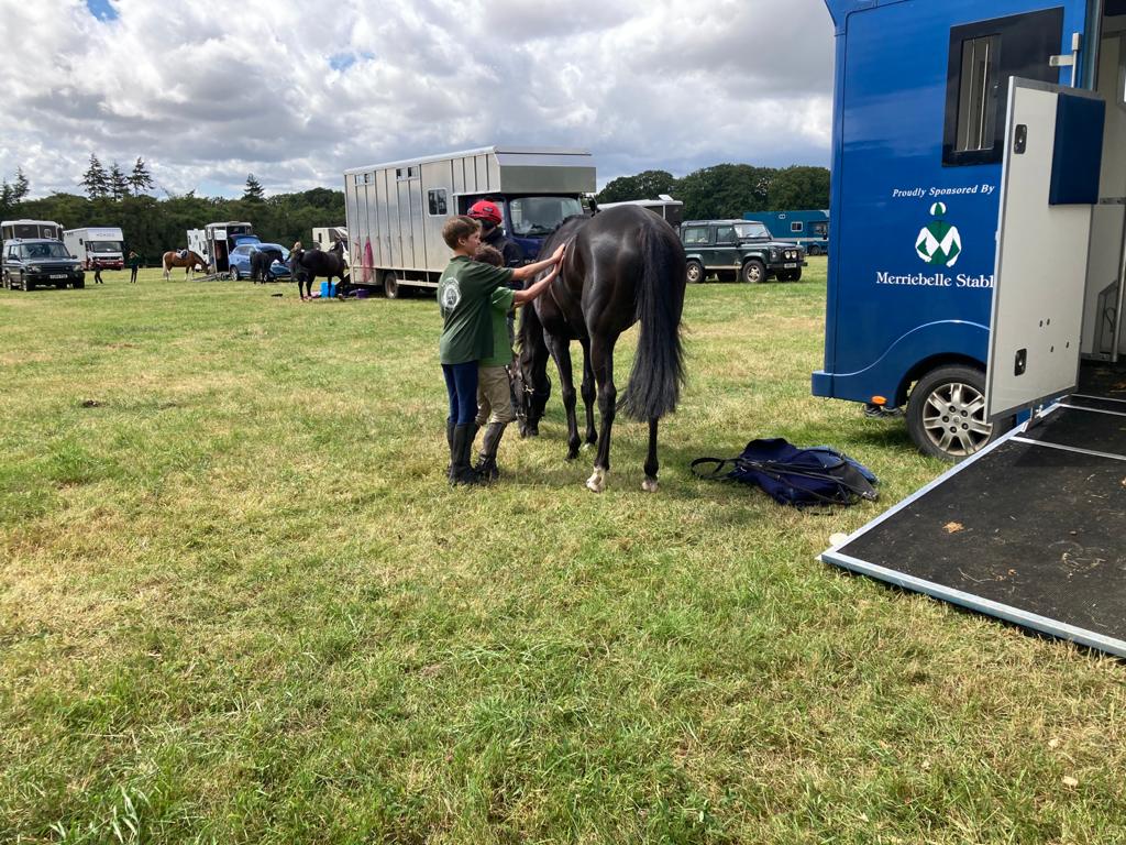 Vivas enjoying some grass and getting some attention