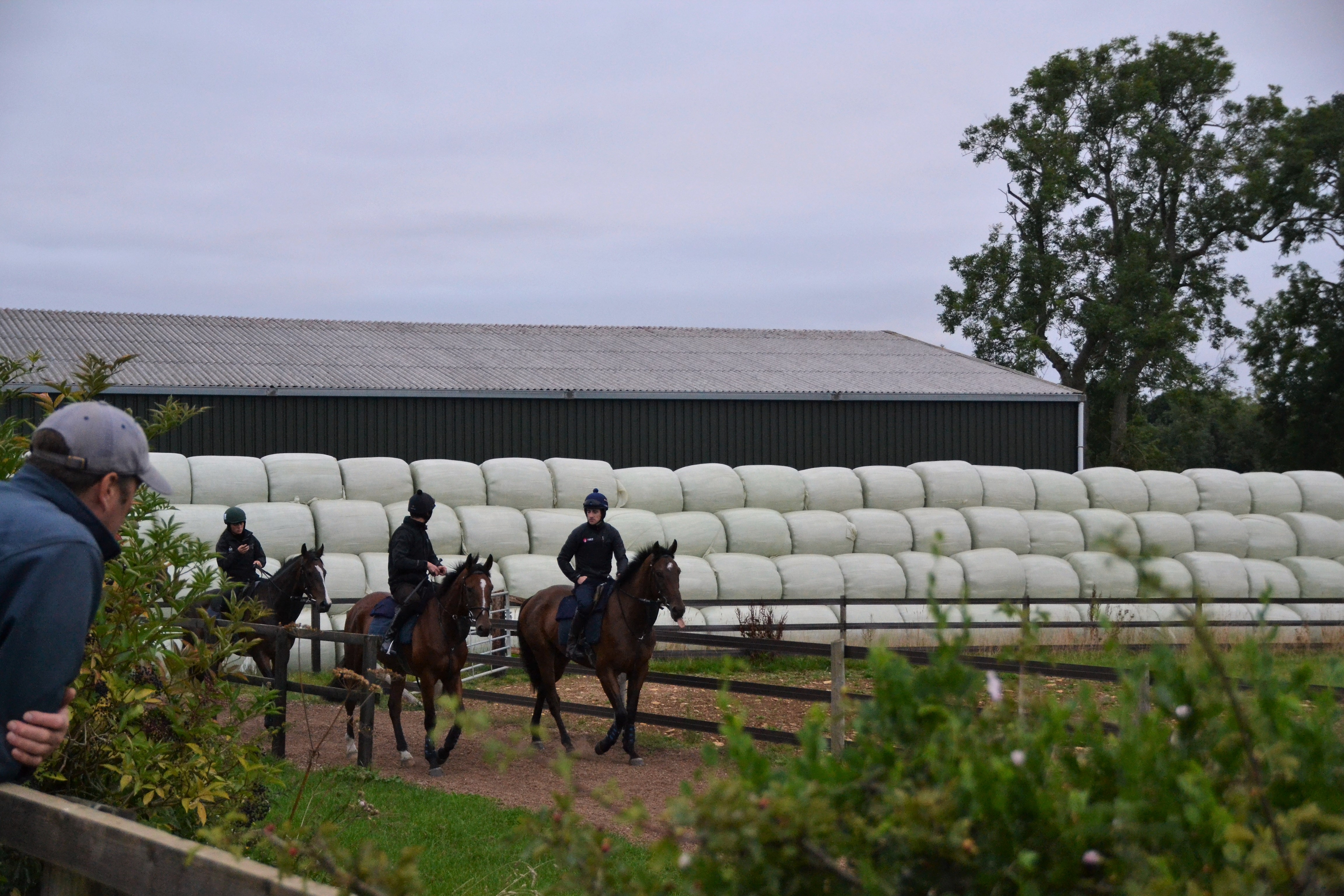 Heading to the gallops