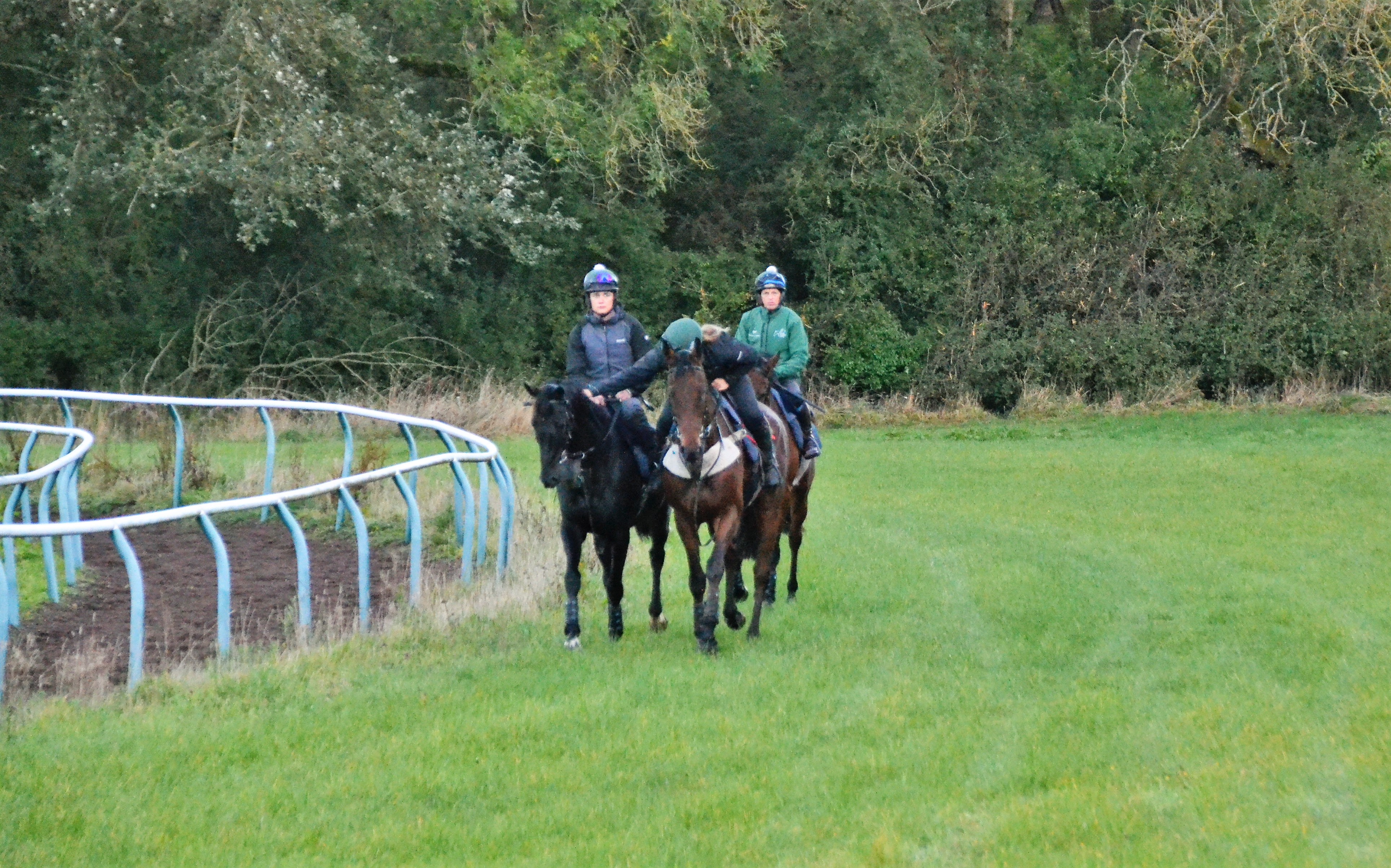 Carlow Farmer and Vivas