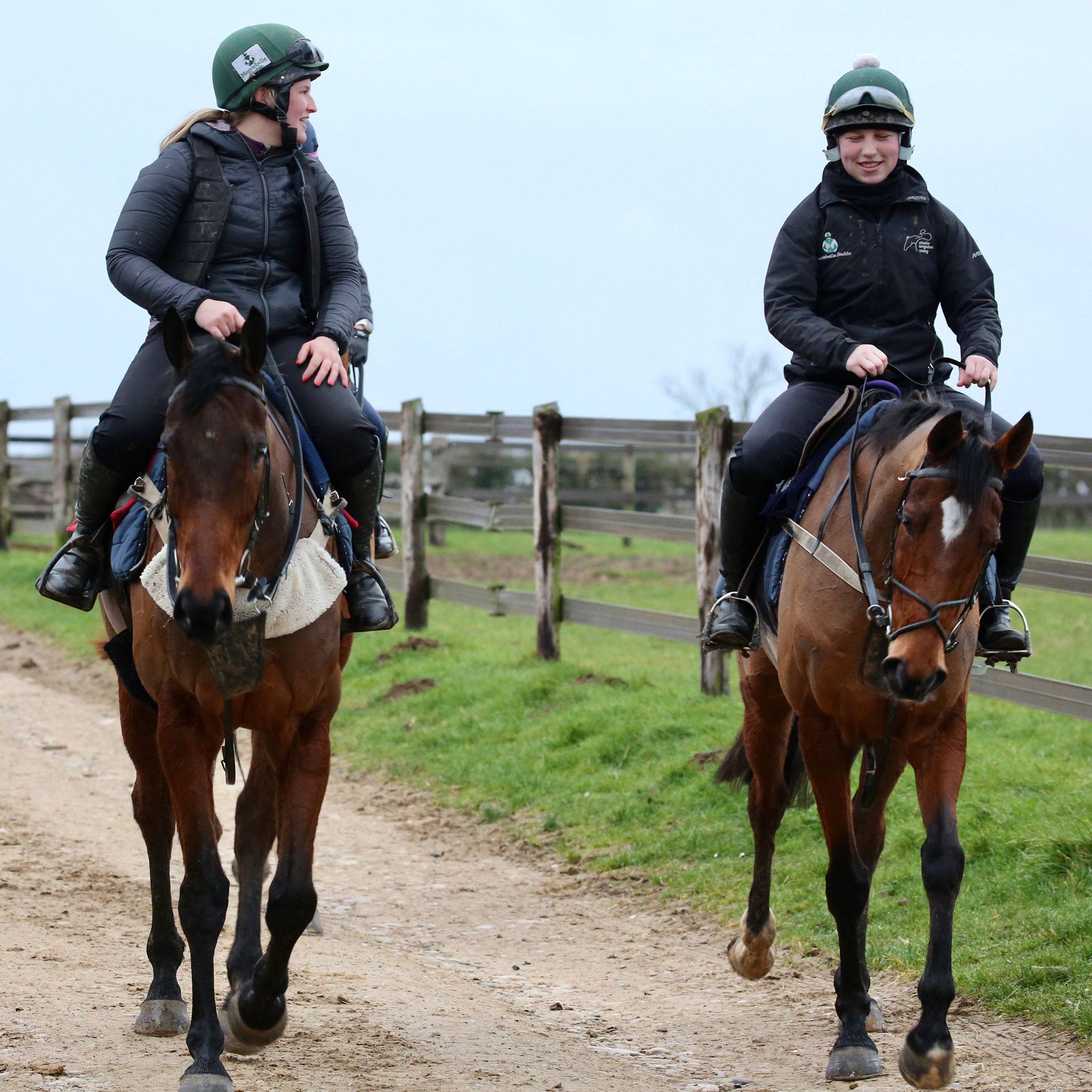 Trainer's Daily Blog 23rd February 2022