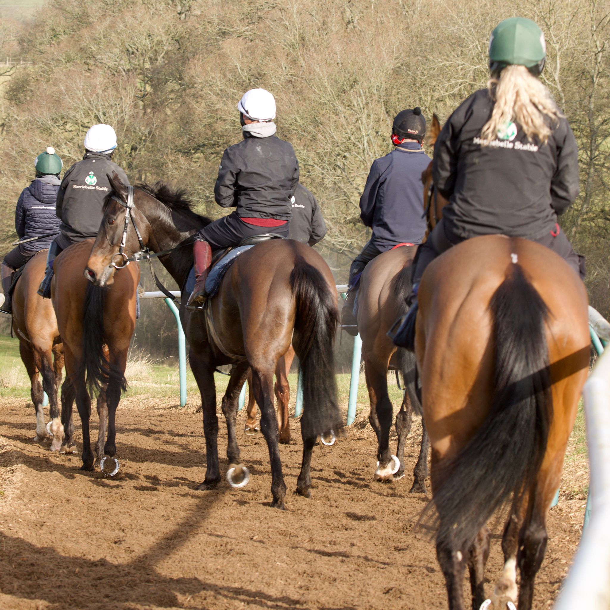 Trainer's Daily Blog 28th February 2022