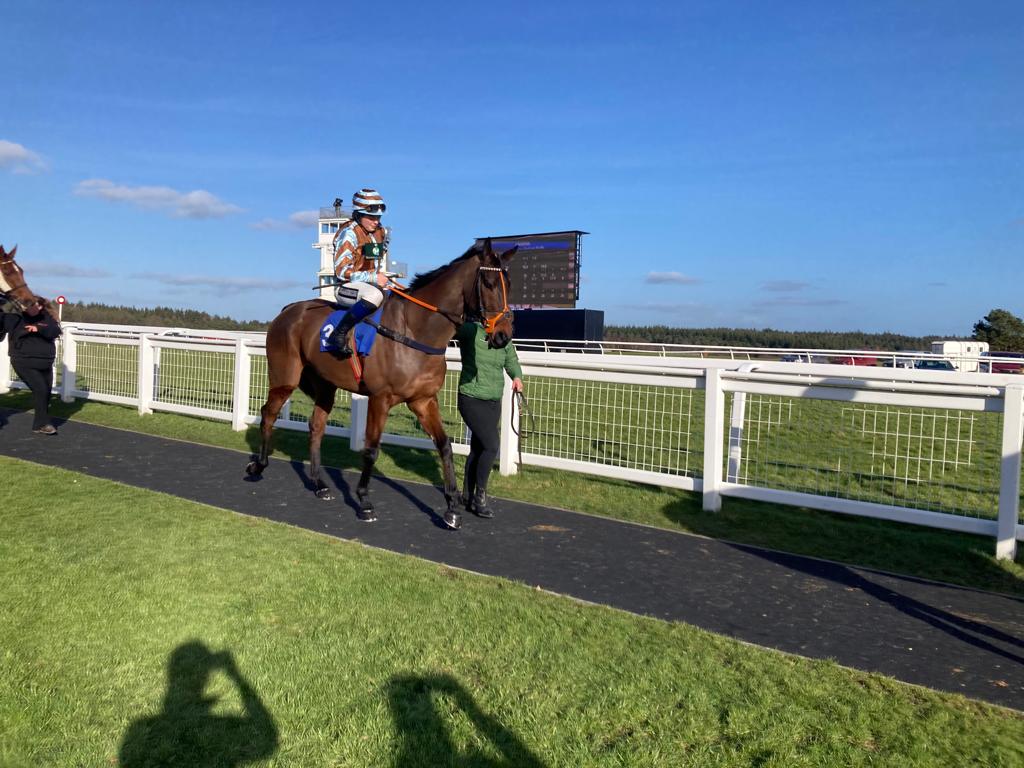 Trainer's Daily Blog 28th February 2022