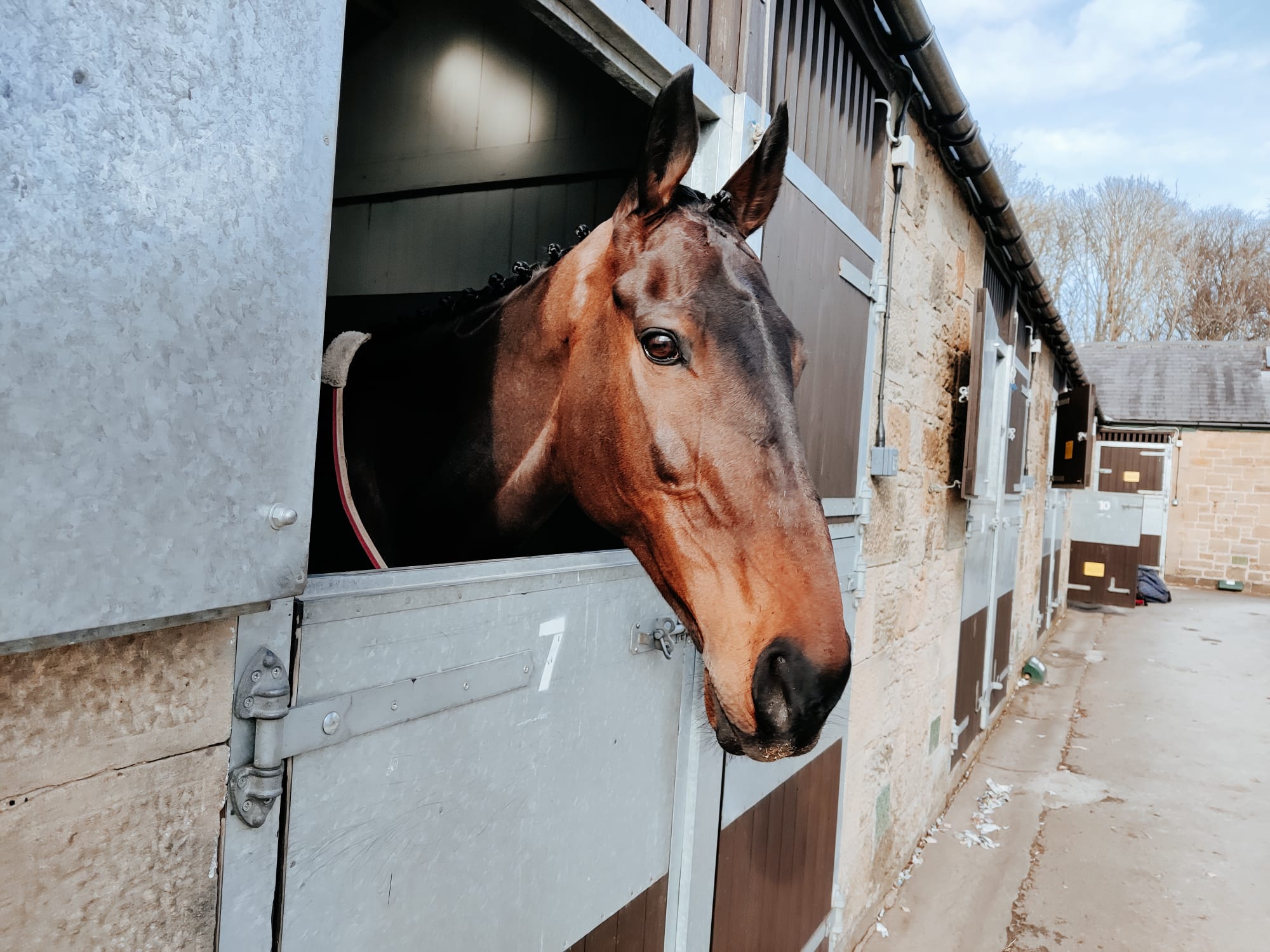 Trainer's Daily Blog 28th February 2022