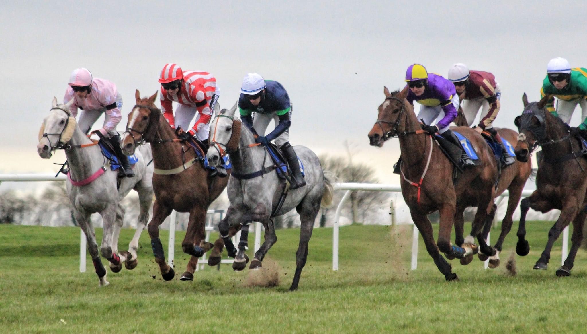 Brilliant photos from Jill Hurst