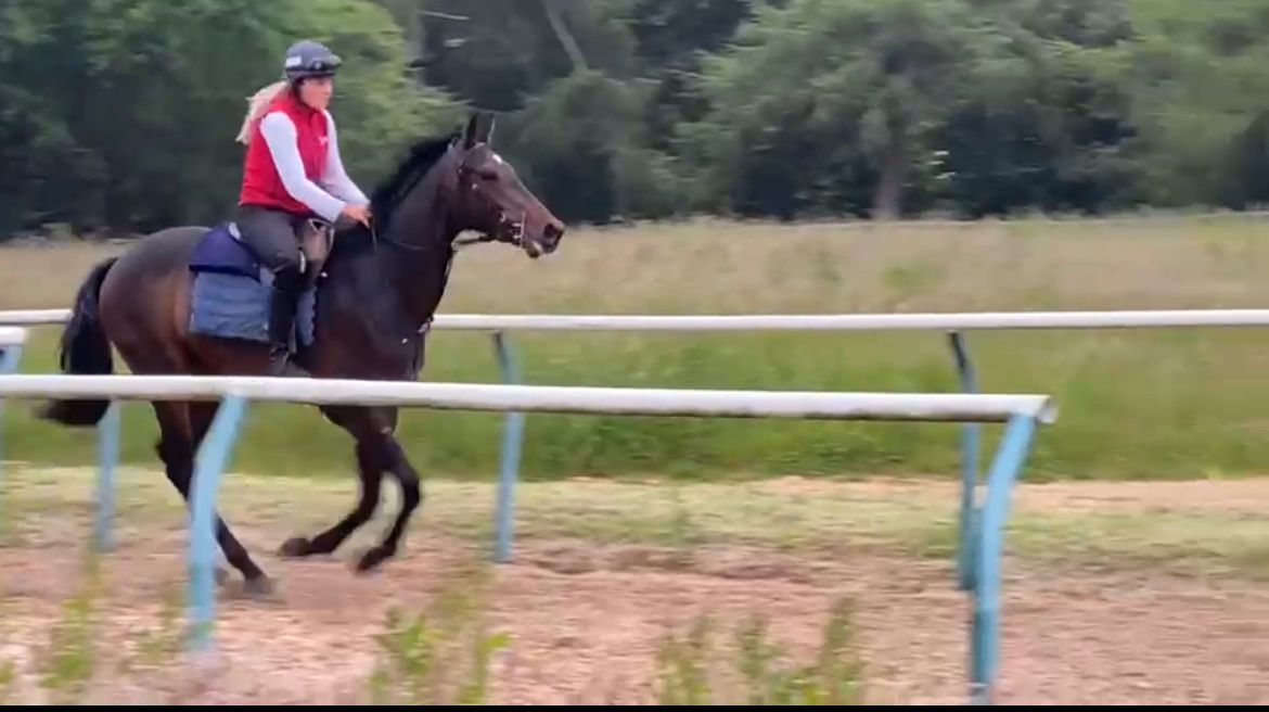 Jetaway X - First time on gallops