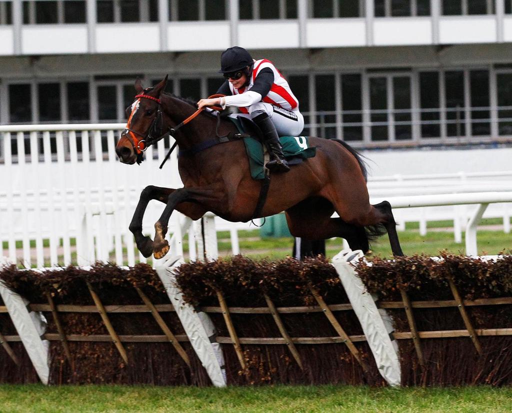 Hector storming up the Cheltenham Hill