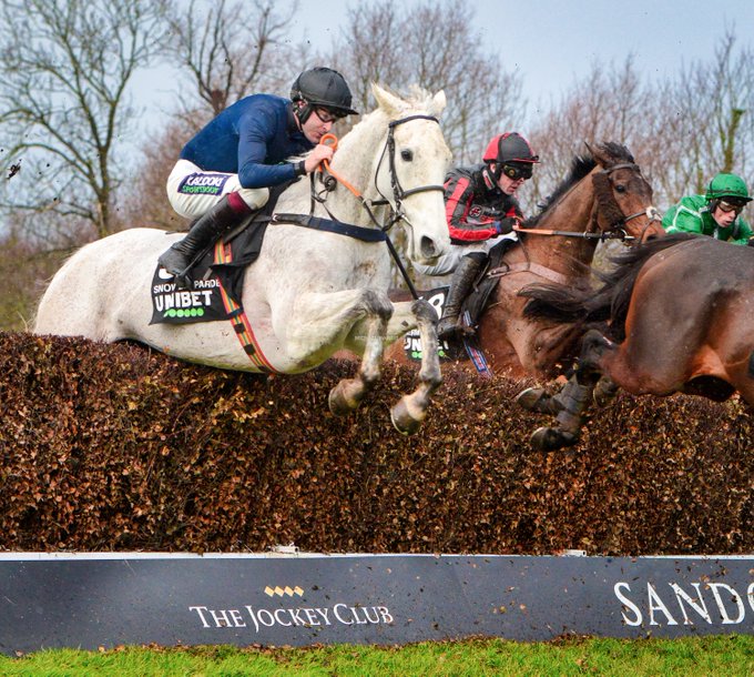 Snow at Sandown