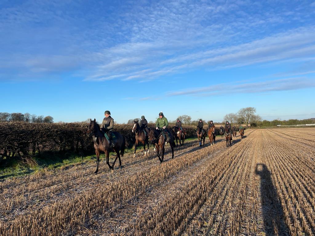 Third lot head out to the gallops under a Blue Sky