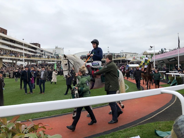 Snow about to leave the paddock at Cheltenham