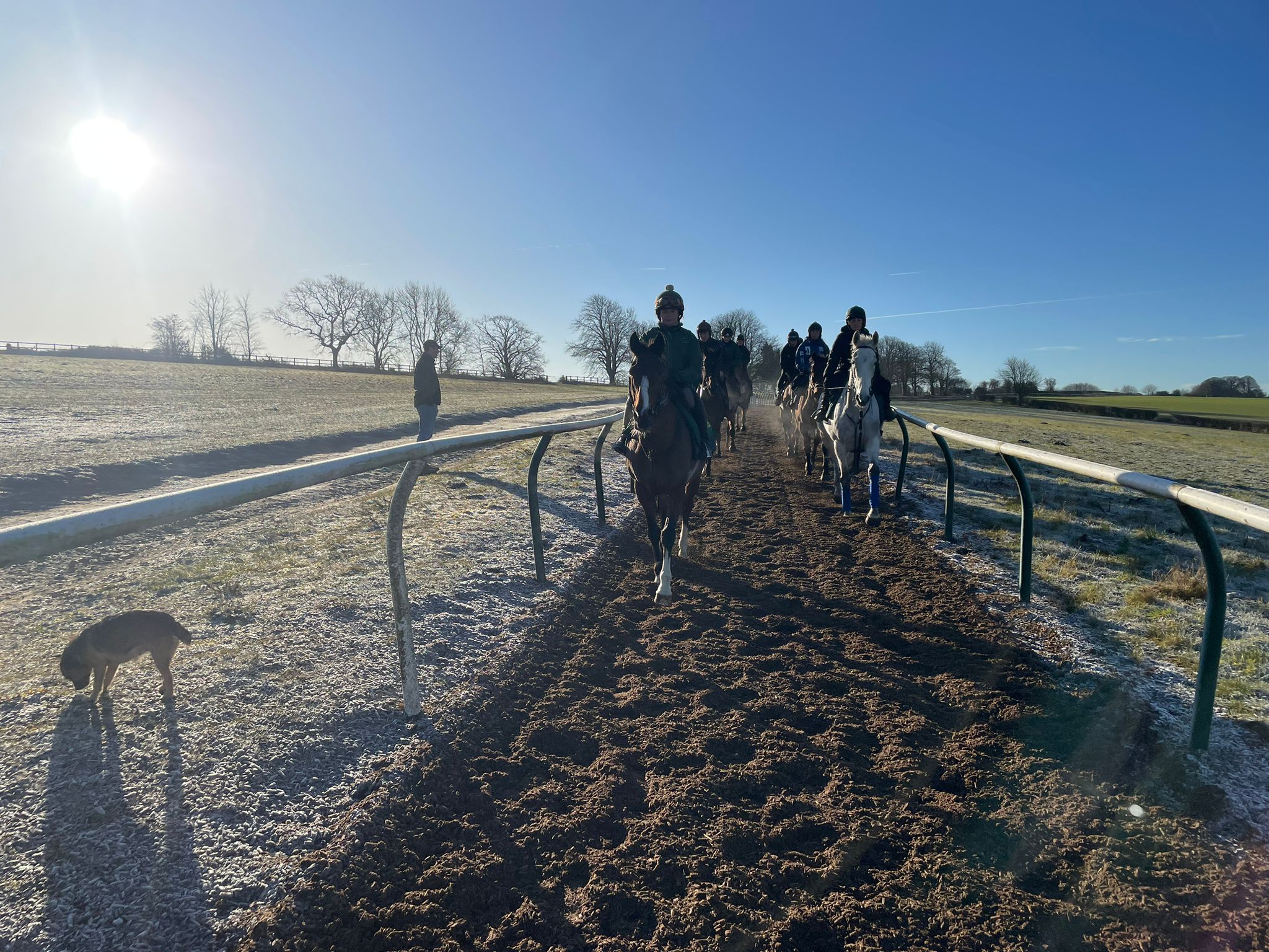 Beautiful crisp morning at Hull Farm