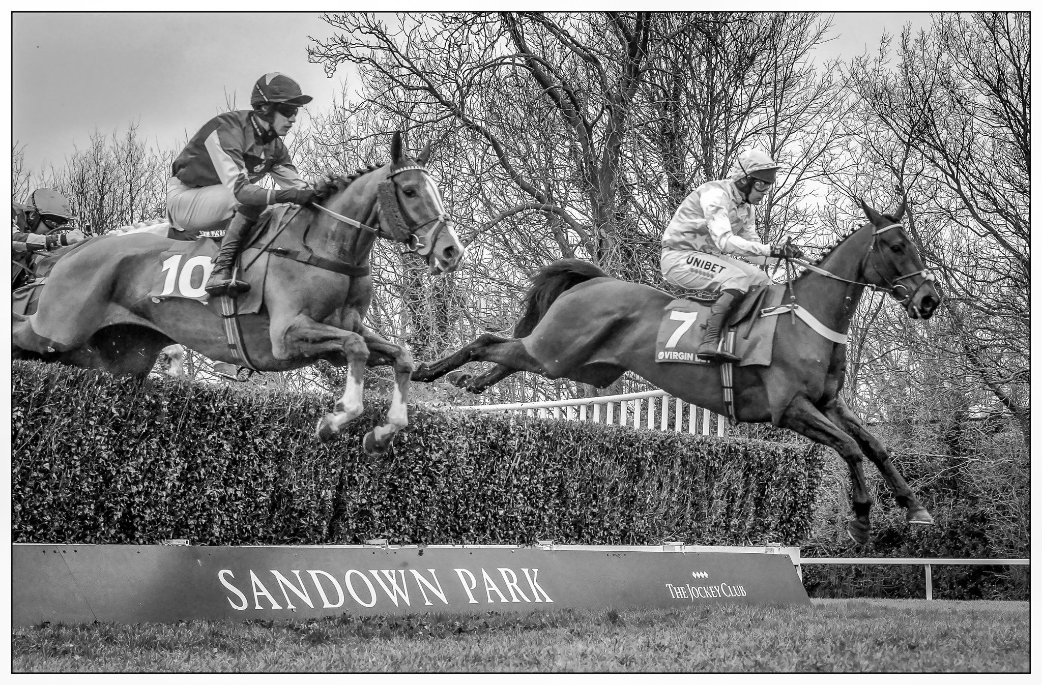 Castle Robin Winning at Sandown