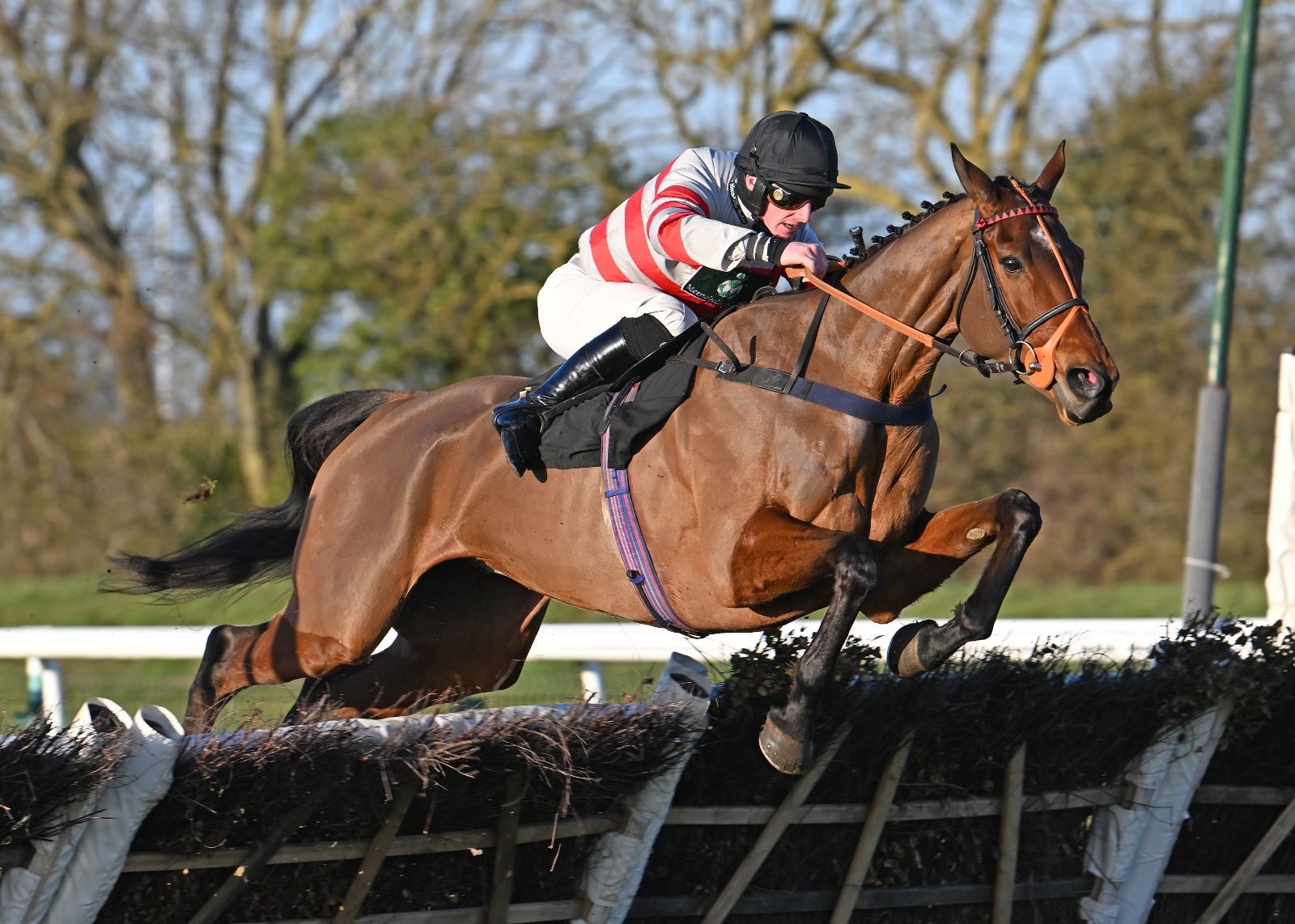 charlie longsdon stable tour