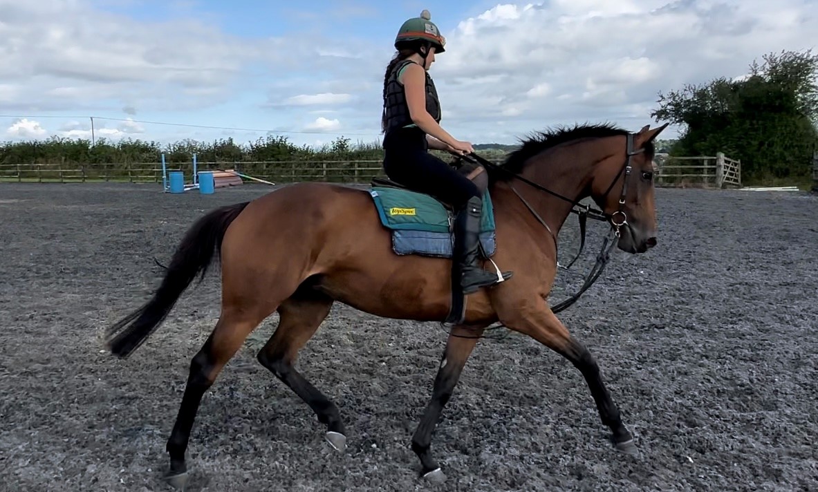 Realisation doing some dressage