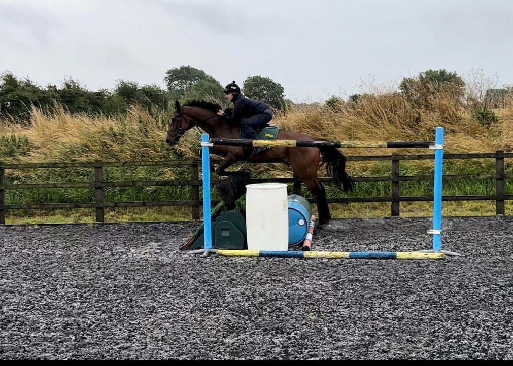 Book Of Tales showing great aptitude to jumping