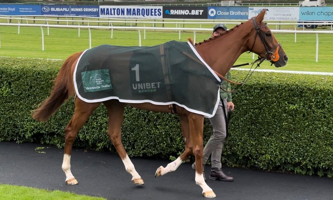 Everyonesgame at Market Rasen