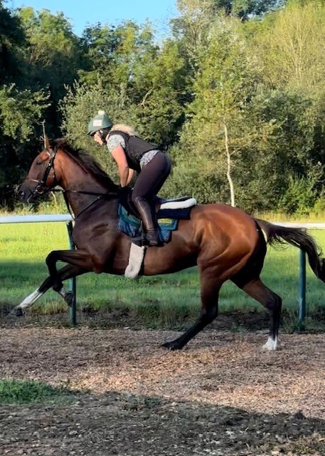 Parramount is back!