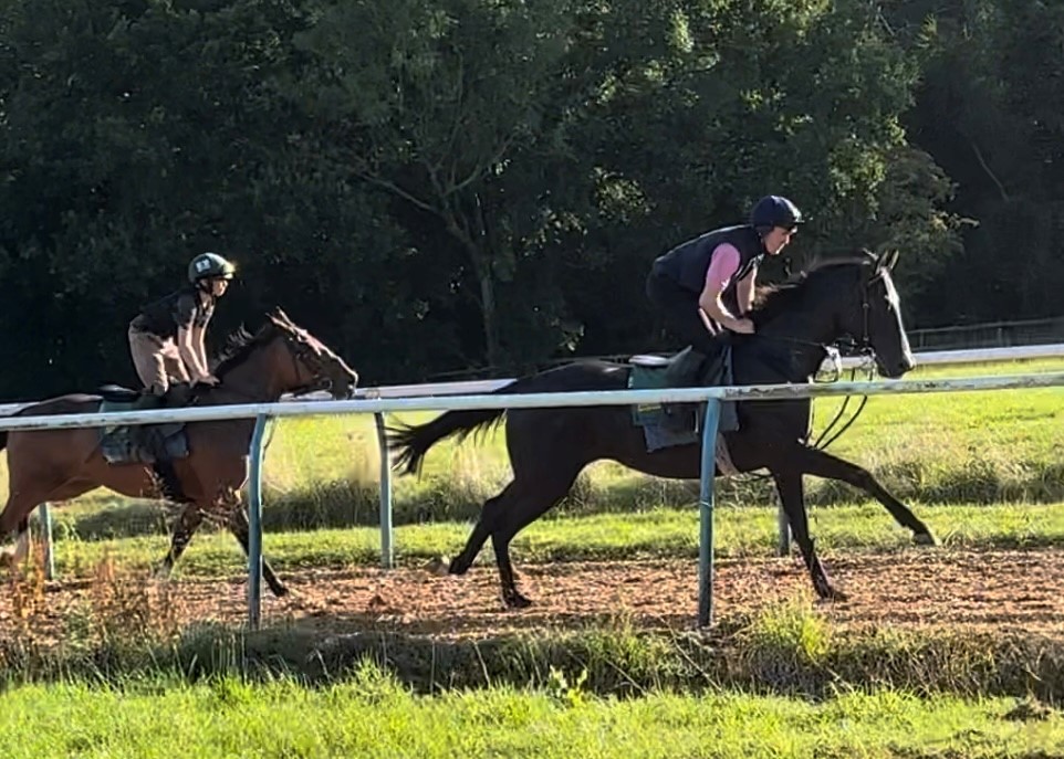 The Dark Edge leading Tiny Dancer