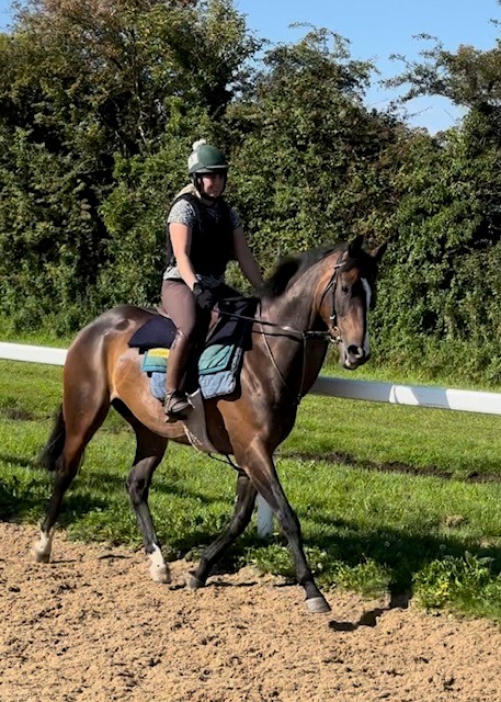 Stroll on By looking very flashy...