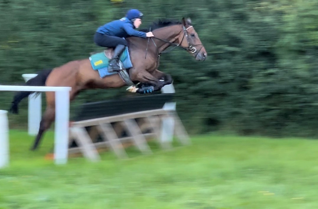 Book Of Tales schooling on our grass