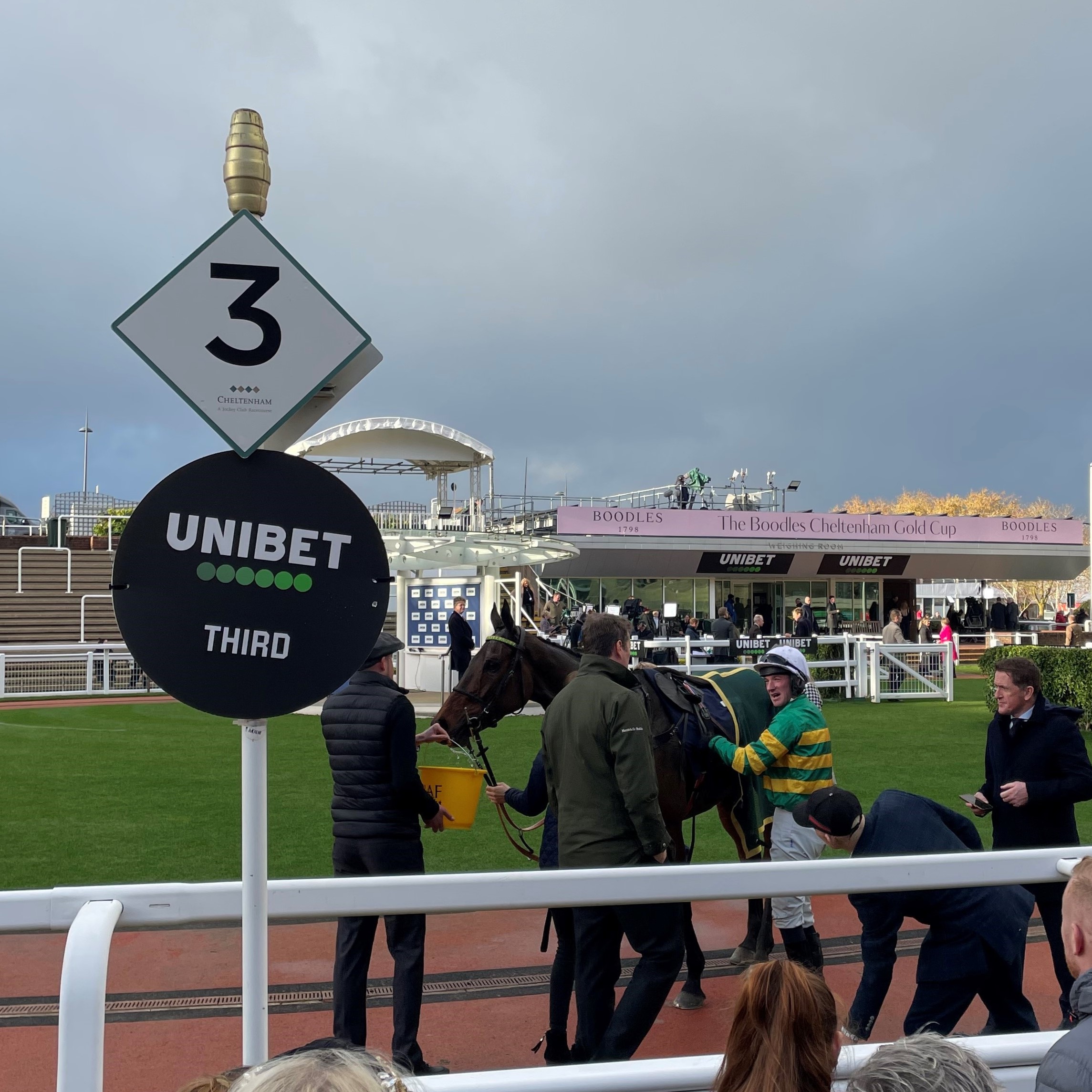 Cheltenham November Meeting