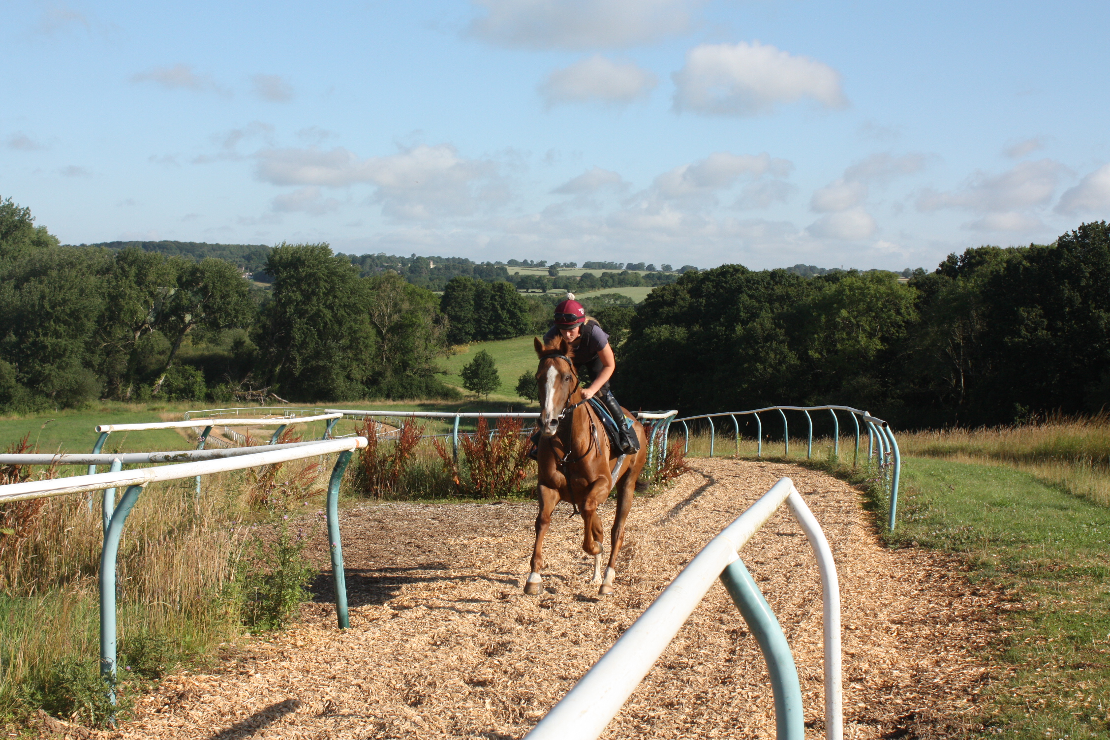 Miss Applejack cantering with Lizzie.