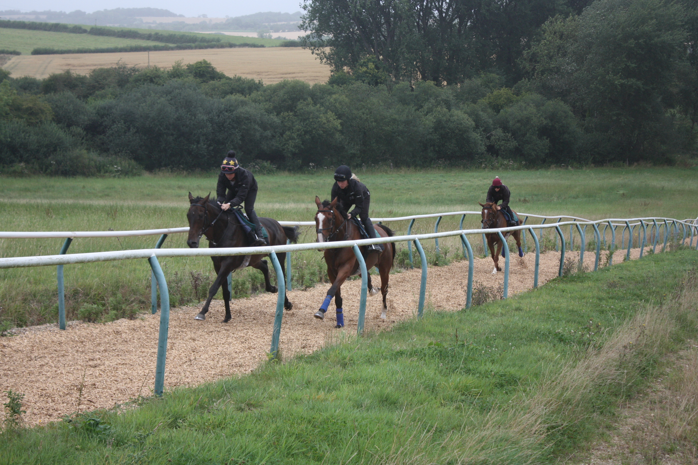 Ideal De Romay and Largy Valley leading Almazhar Garde