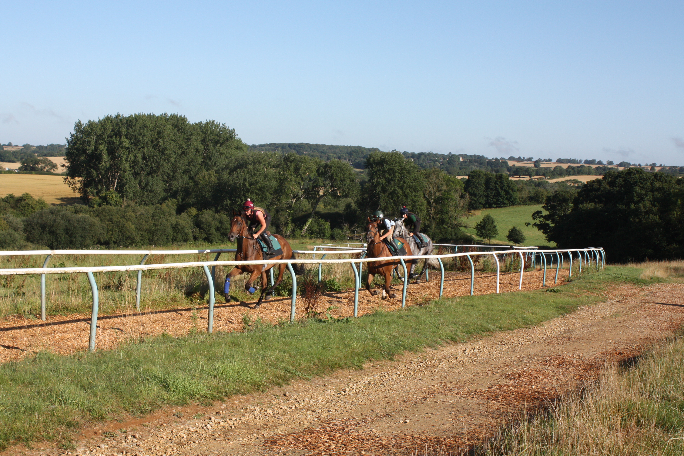 Midnight Jewel leading the string! 