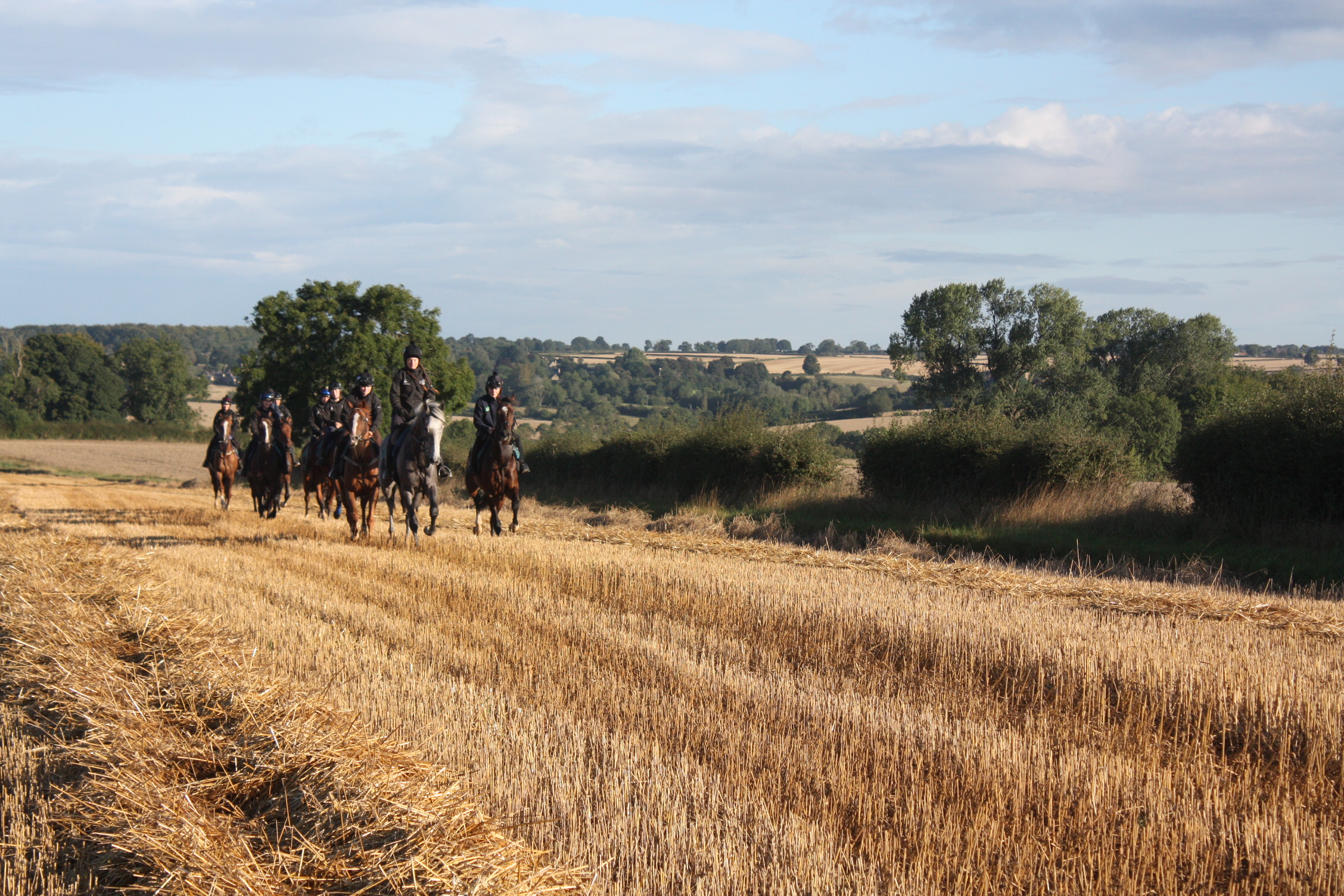 Swindon Village leading the string! 