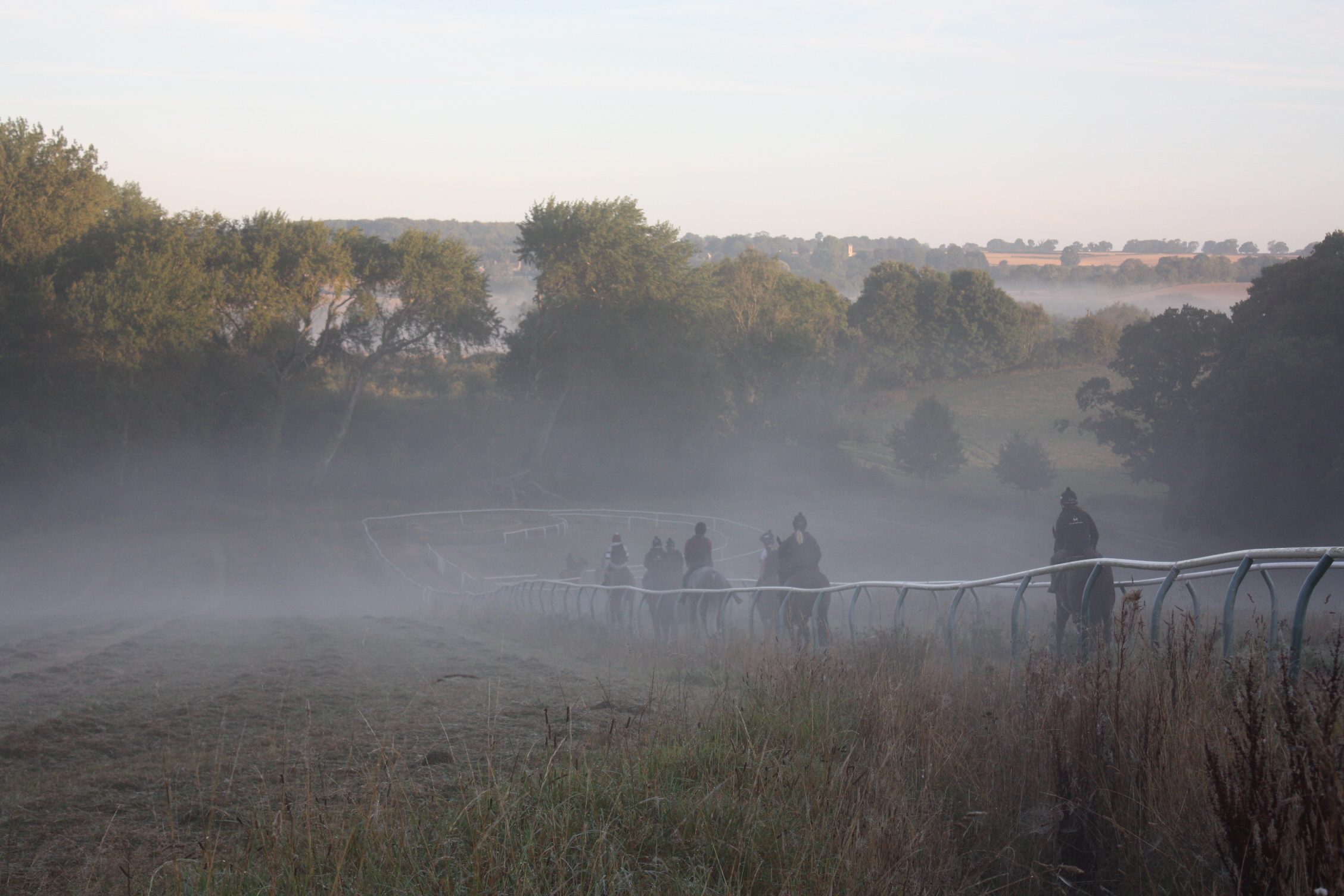 The team walking down the gallops