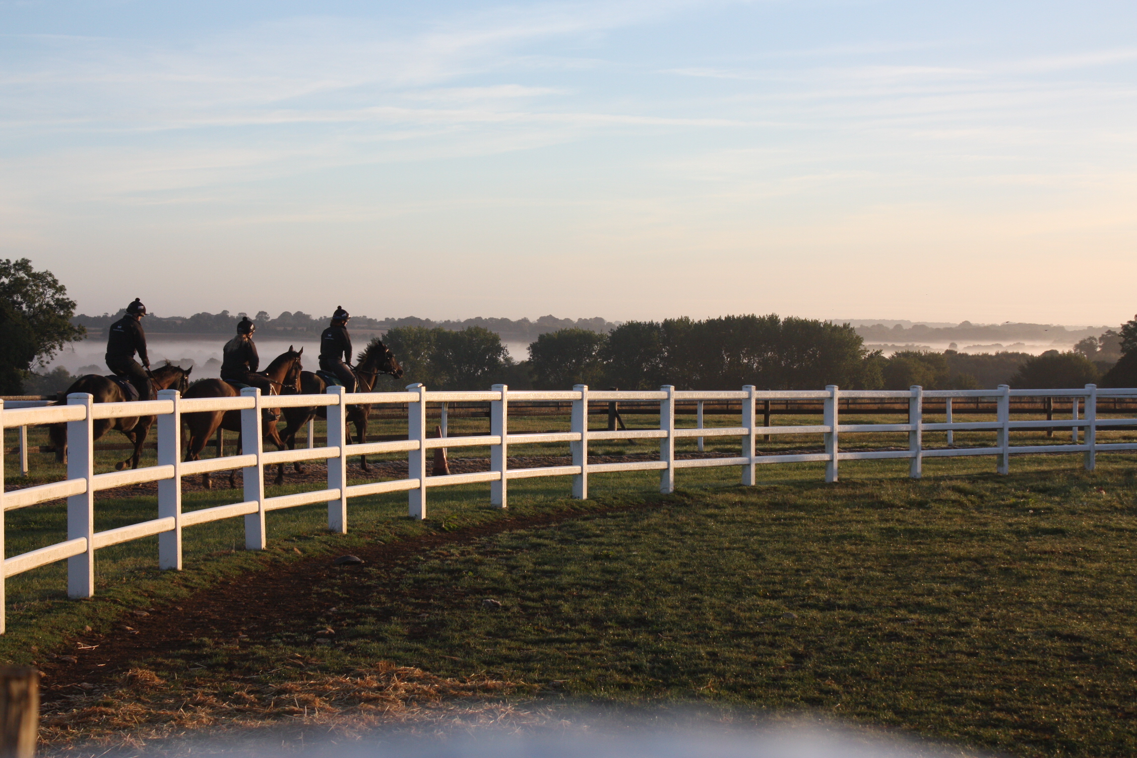 A beautiful morning view!