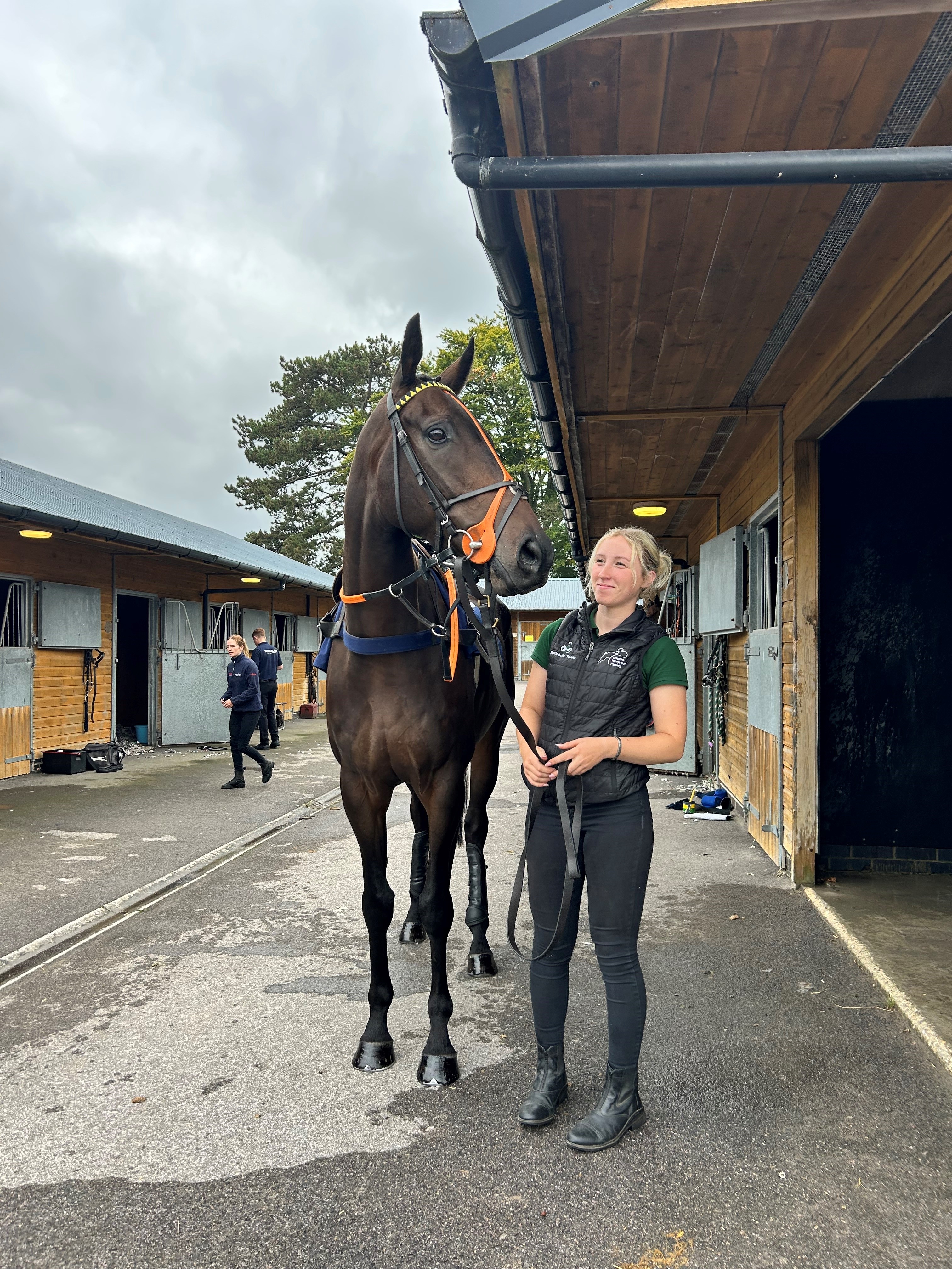 Ideal De Romay and Issy at Fontwell