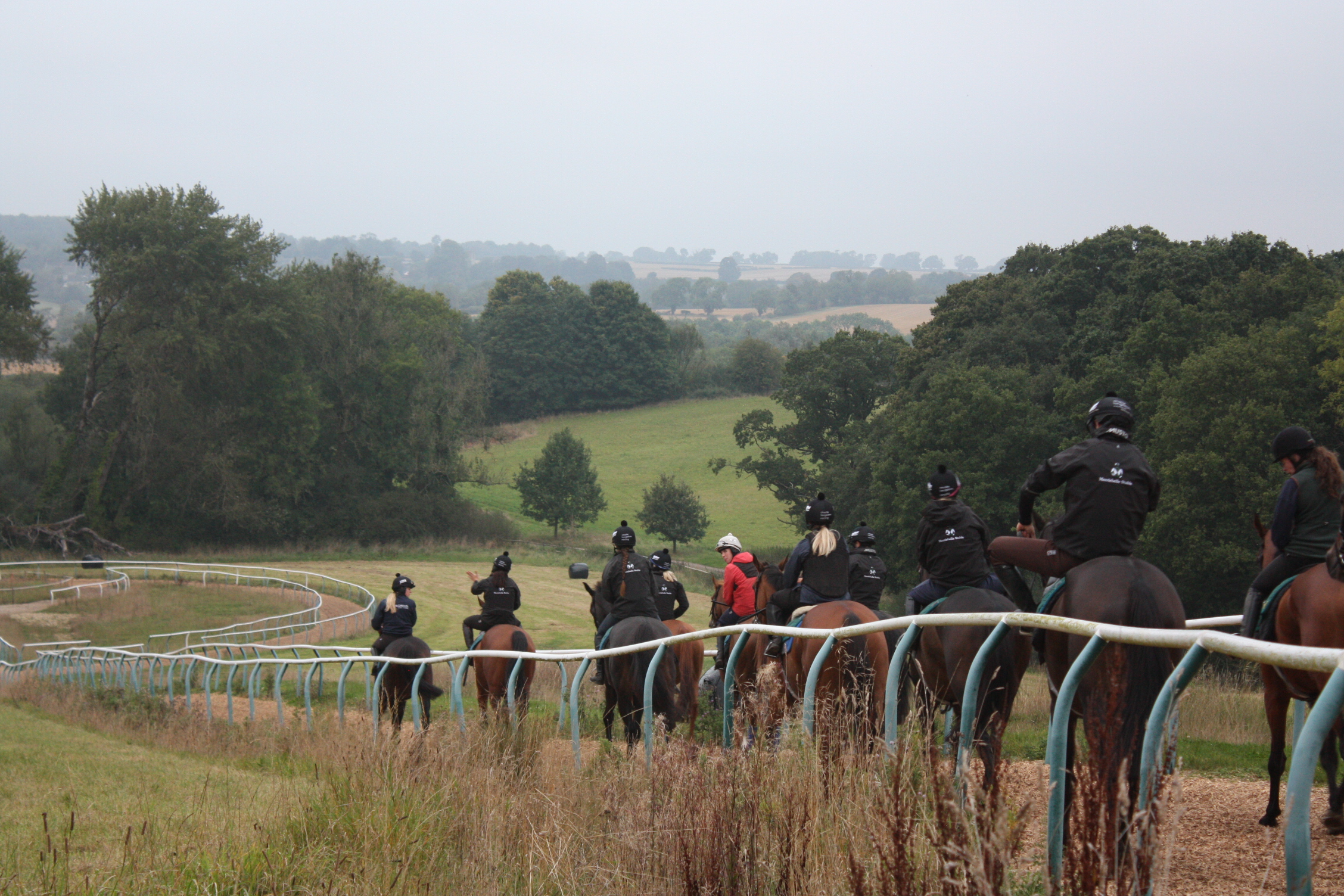 The team walking down the gallops! 