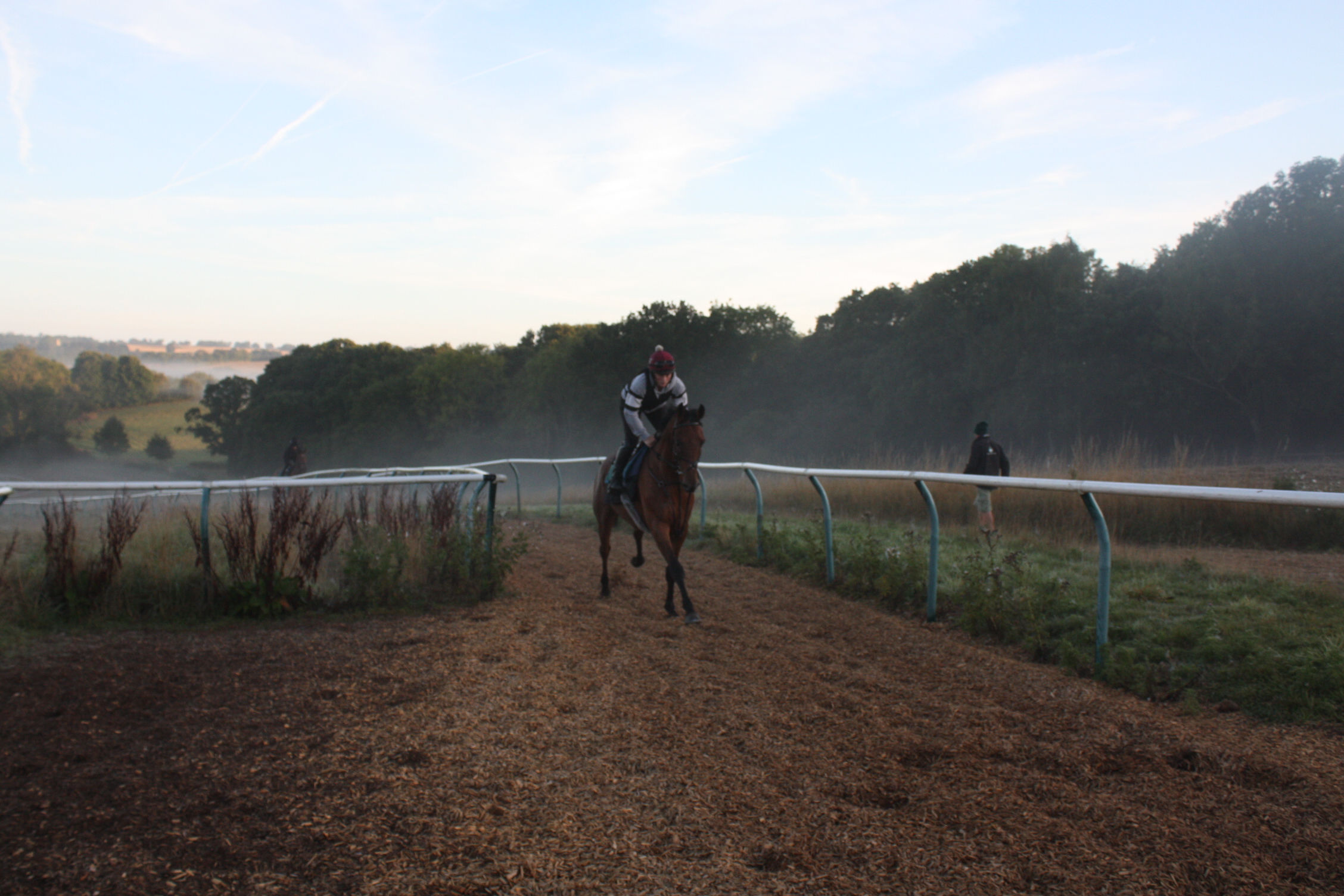 Lebowski cantering with Lizzie