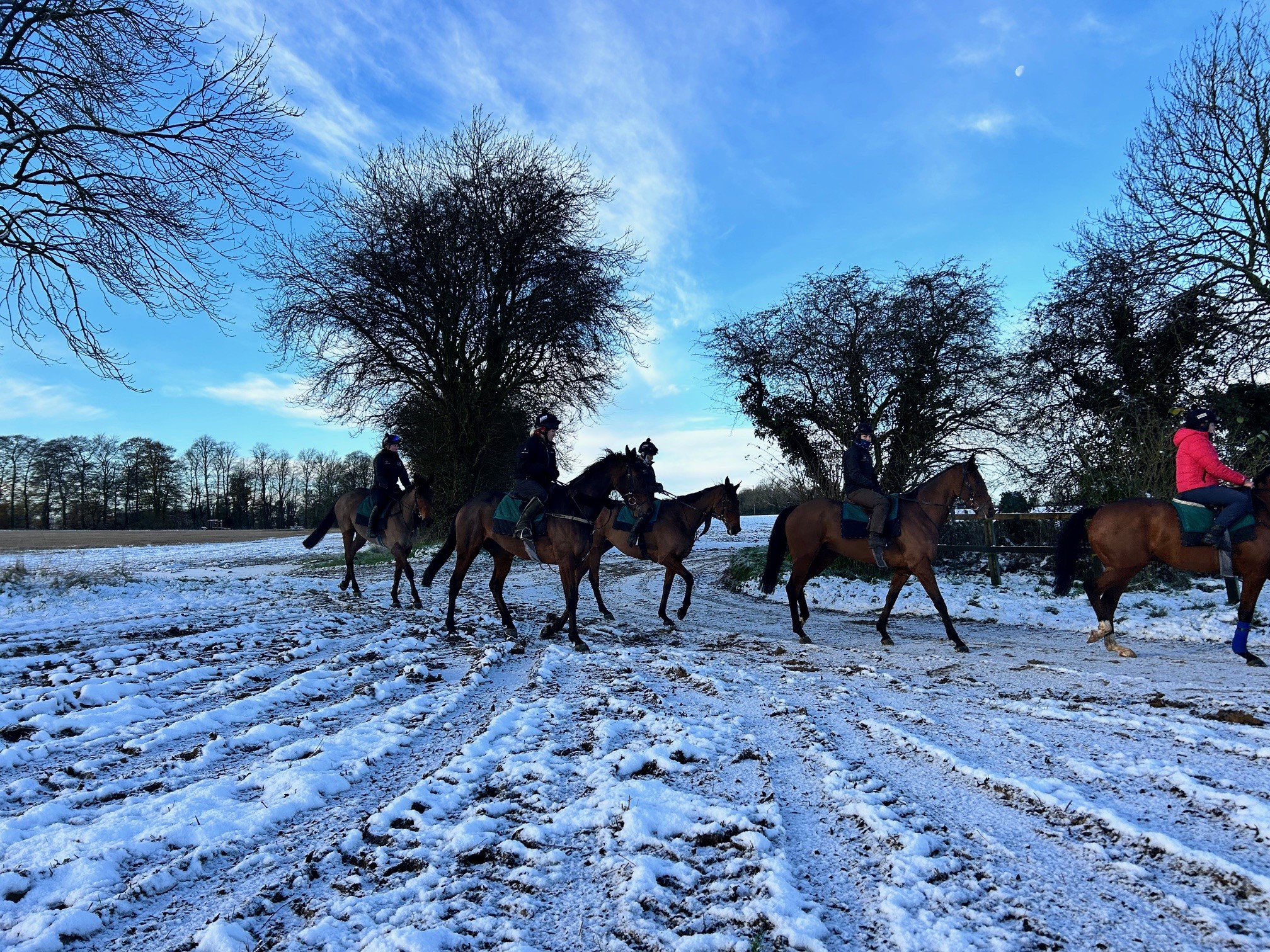 Enjoying the snowy conditions!
