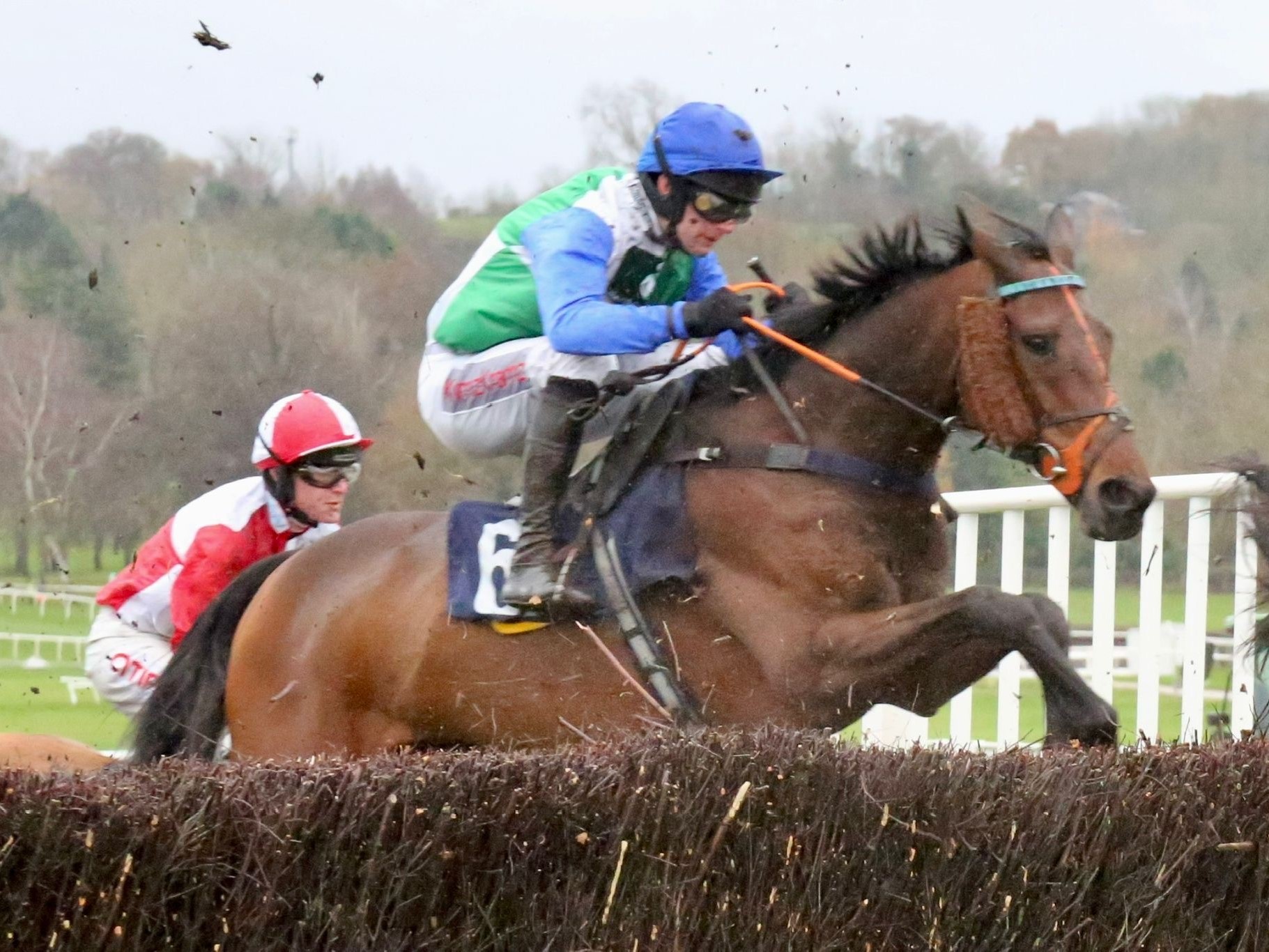 Zestful Hope jumping the last